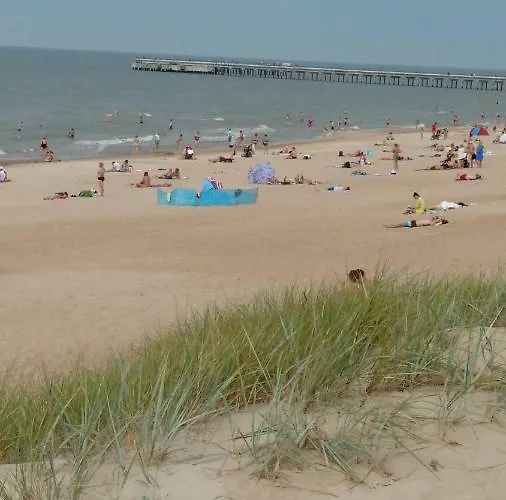 Geriausia Vieta Palangoje Palanga