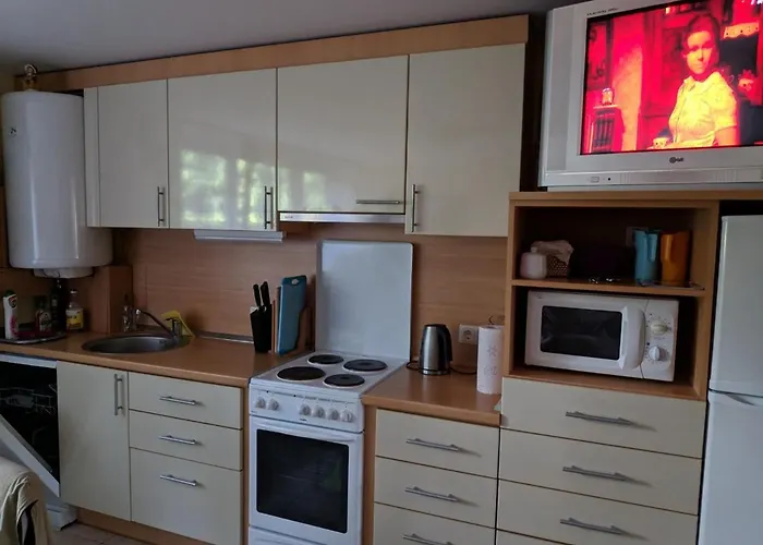 Geriausia Vieta Palangoje Palanga