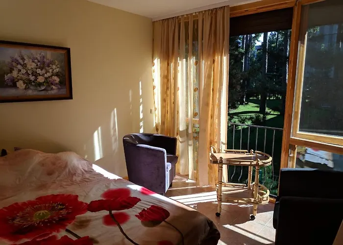 Geriausia Vieta Palangoje *